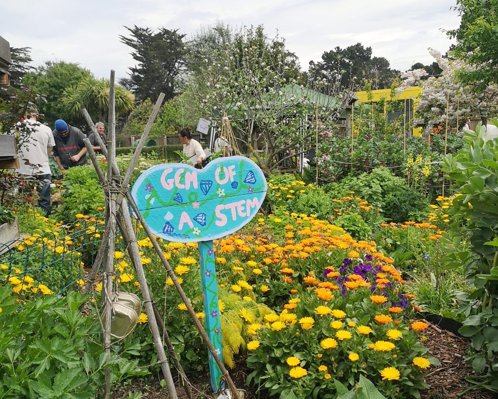 Community Gardens New Brighton