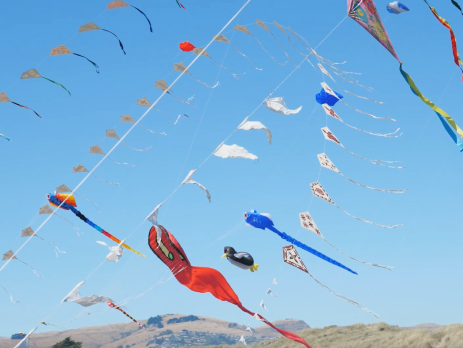 lots of kites flying on sunny day