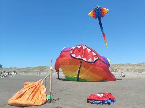Large kites