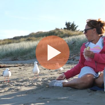 Woman feeding Seagulls on the beach