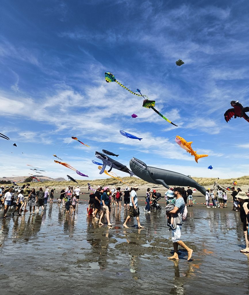Kite Day New Brighton Beach